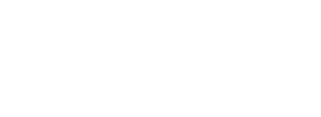 immediate FastX avis